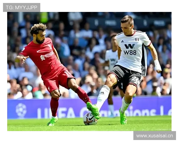 葡萄牙国家队主力后腰：帕利尼亚的国家队地位